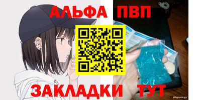 крисы Можга