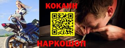 крисы Можга