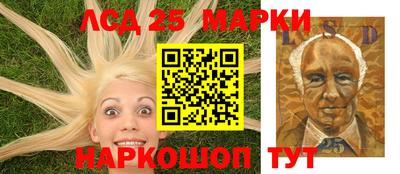 крисы Можга