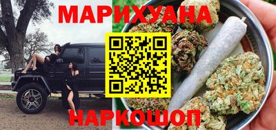 крисы Можга