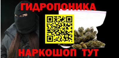 крисы Можга