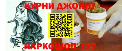 крисы Можга