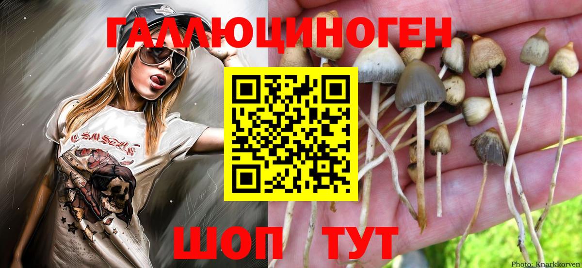 Псилоцибиновые грибы MAGIC MUSHROOMS Родники